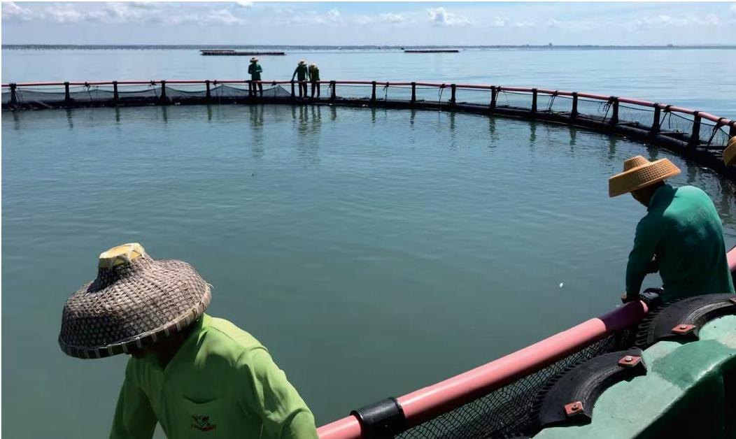 Wisheed Technology founded on the Leizhou Peninsula